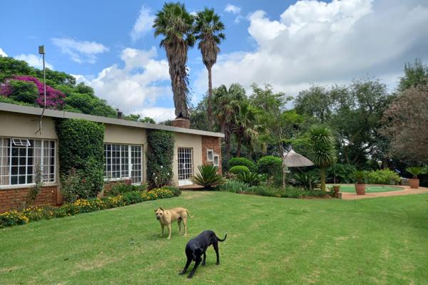 Serenity - stunning 8.9 hectares farm/plot for sale!!
Situated in Elandsfontein, this ...