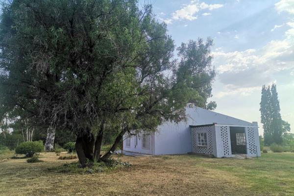 This plot is situated near Weltevreden dam and consists of the following:

1.54ha
2 Bedroom, 2 Bathroom house. Lounge, diningroom ...