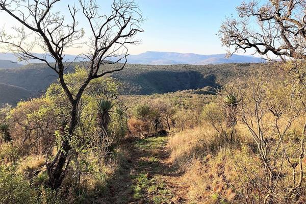 A River Runs Through It!

25km from Weenen lies 1146 hectares of spectacular farm land. With land on both sides of the Bushmans River ...