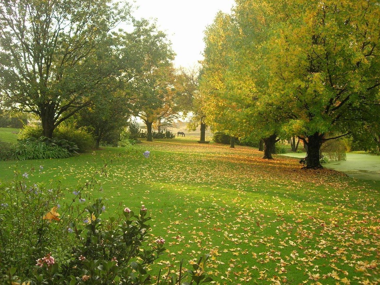 Farm for sale in Newcastle Rural P24109001809