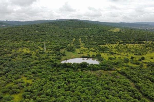 This site offers 93 Ha of prime fertile land and boasts its own dam.  The land is zoned for mixed use of either farming or development. ...