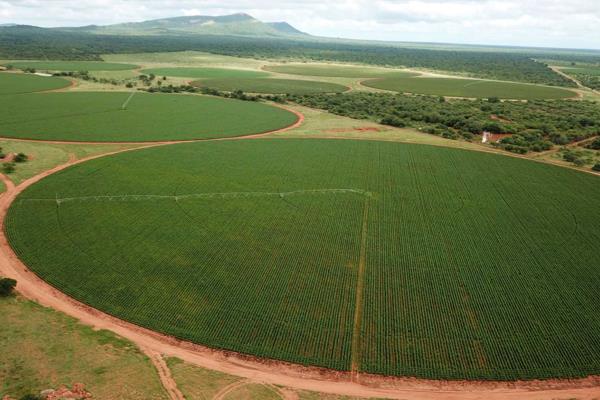 Nearly 1200Ha of prime irrigation land located further North in the Limpopo Province, a mere 40km from Alldays.
A vast array of ...