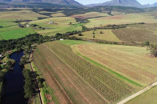 **SOLE MANDATE**   This property is situated about 10km from Riversdale in a high rainfall area of about 800mm per annum. The farm is ...