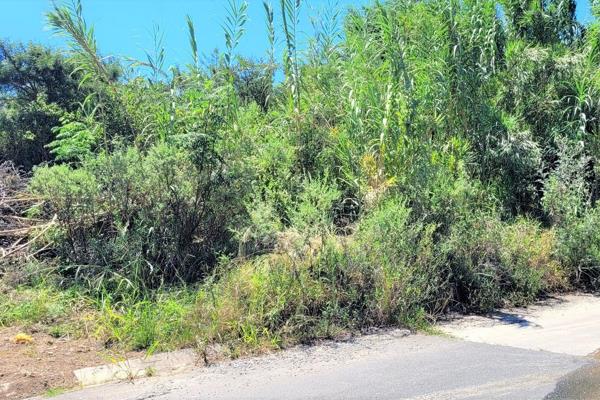 Vacant Land for Sale in Nahoon Valley Park

The perfect space to build your dream home!

Plot size: 845m2

Plot is serviced and ...