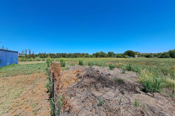 TSE/Afsaal eiendomme Orania sedert 2007 bied aan:

Volle Landgoed te koop  wat reeds onderverdeel is met 7 gedienste erwe.
Die pad ...