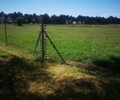 Farm for sale in Risi AH