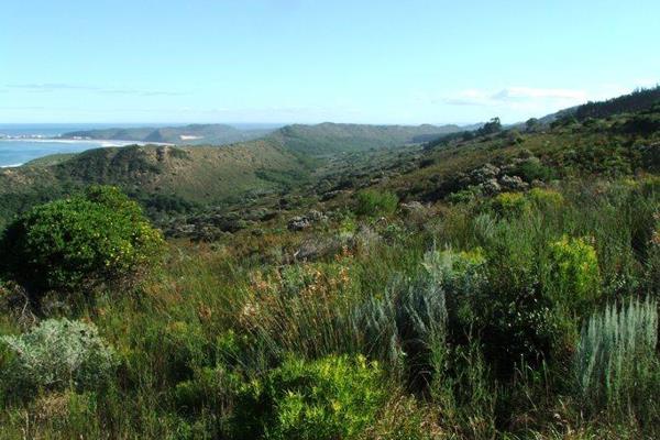 Not to be missed this Agriculturally zoned (could now be RURAL zoned) 304 m beach access (up to high-water mark) + primary and ...