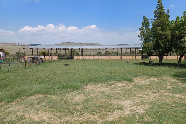 The homestead consist of 3 separate houses each with it&#39;s own modern bathroom, open plan kitchen/dining/lounge. All the furniture ...