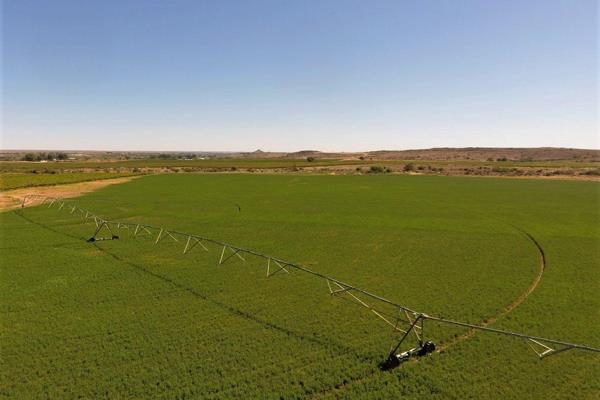 Well-developed irrigation farm for sale at Louisvale, Upington.

This well-developed and maintained irrigation farm is about 15km from ...