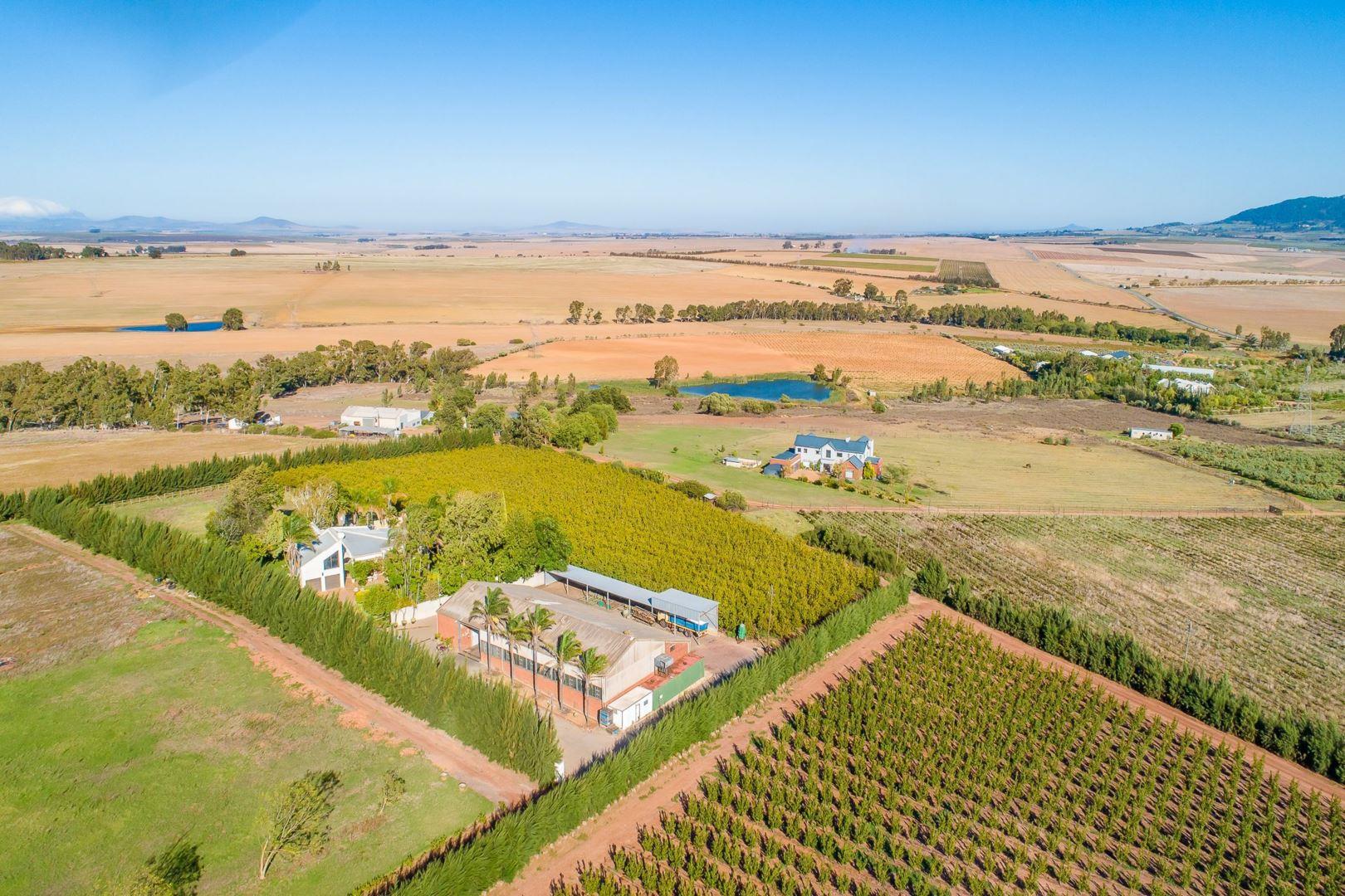 Farm for sale in Paarl Central P24112455266