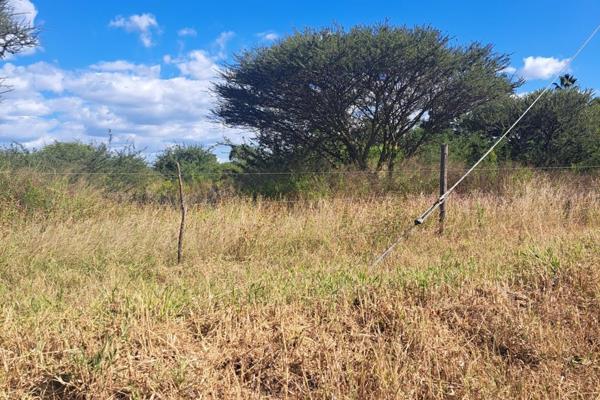 EXCLUSIVE MANDATE:

Agriculture Land of +/- 8 to *.5 Ha become available for the buyer who wants to start from scratch and develop ...