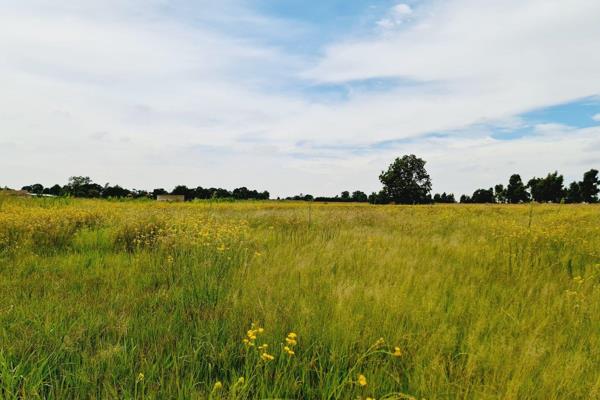 Excellent soil - arable land - close to town - borehole not tested - no power

This is ...