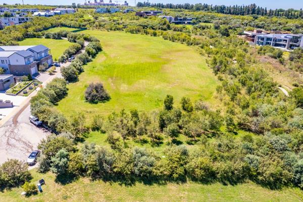 Build your dream home with the back yard of a lifetime. This expansive stand is one of a ...