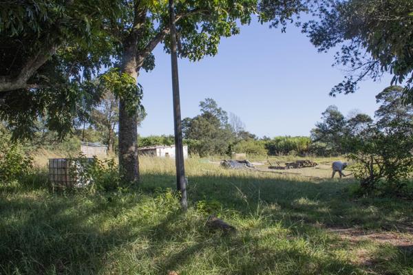 This 1.3ha small holding is close to the main road and limited amenities. Surrounded by Macadamia farms in the lovely Paddock ...