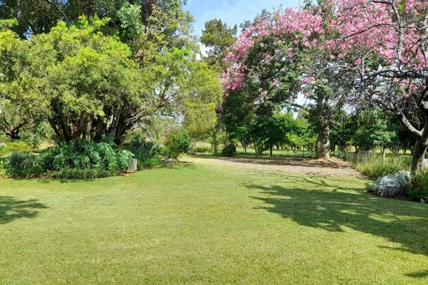 Established 8.5HA SMALLHOLDING FOR SALE

This well maintained 8.5ha smallholding is situated just off the R513 in De Wildt equidistant ...