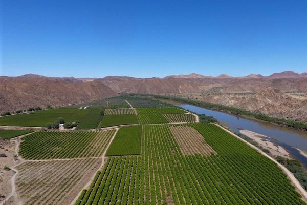 Beautiful heavenly irrigation farm for sale at Kakamas.

This area on the banks of the Orange river is an arid and mountainous area ...