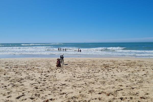 Paradis Beach- Jeffreys Bay, South Africa.
Escape to paradise with this exquisite ...