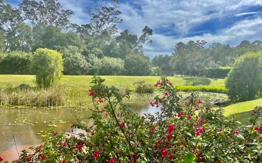 Farm for sale in Plettenberg Bay Rural