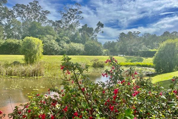 Dual Mandate.

An unusual find, this 3.2ha Small holding in Harkerville is located 8km from  Plettenberg Bay, 20 km from Knysna. ...