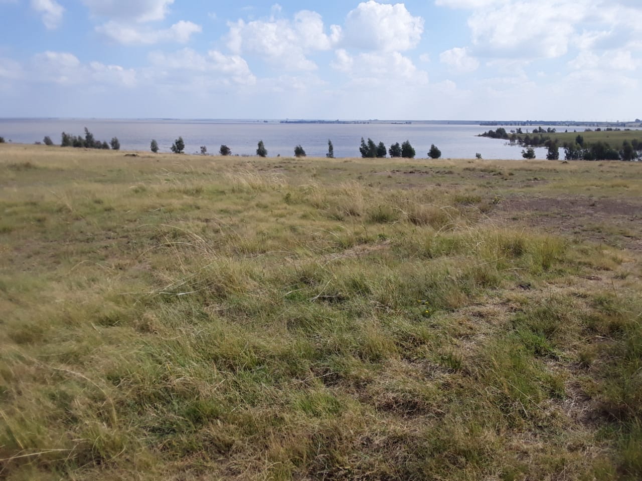 Vacant land / plot for sale in Oranjeville P24112524019