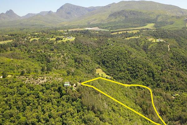 Position meets lifestyle!  This great North facing stand is situated near the end of a quiet &amp; private cul-de-sac in Wilderness ...