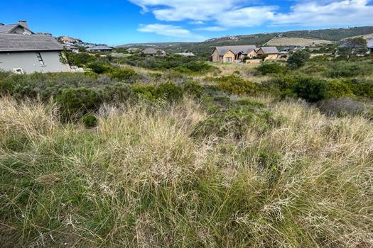 Vacant Land / Plot for sale in Num Num Cape Estate