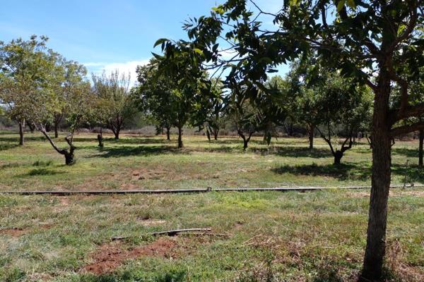 ORANIA ERF TE KOOP 

Benut hierdie gulde geleentheid om n uitstekende belegging in ...