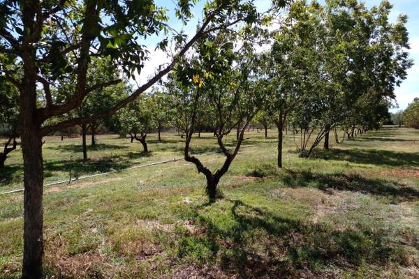 ORANIA ERF TE KOOP H259

Benut hierdie gulde geleentheid om n uitstekende belegging in ...