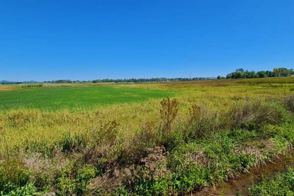 This vacant land is ideal for cash crops with Water Rights registered for this property !! 
Minutes away from tar, close to the N1 / ...