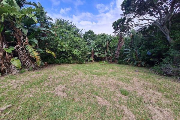 Build your dream home on this property and enjoy the quietness of the country while enjoying distant sea views.  This land has been ...