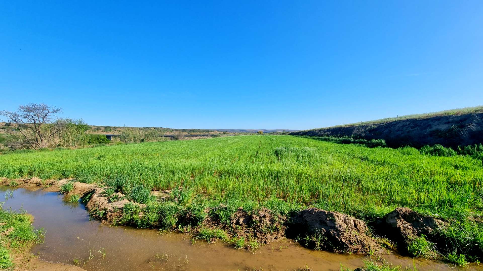 Herbertsdale Property Farms for sale in Herbertsdale