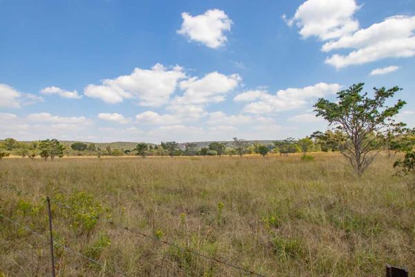 Calling All Investors

Investment Chance of a Lifetime: 34 Hectares of pristine land in ...