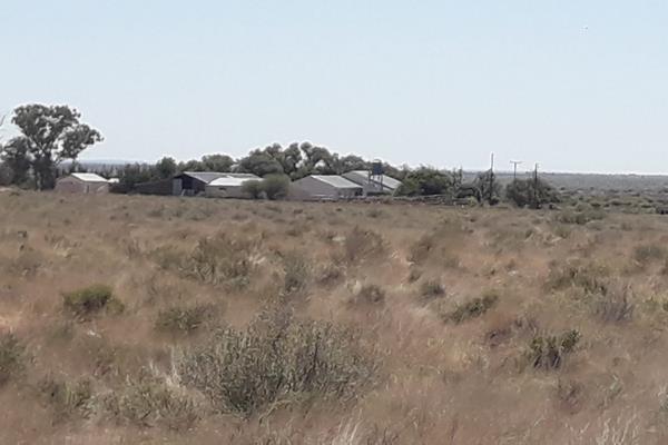 52 Km West of Hopetown. The properties are registered in three parts. For almost three generations (since 1948) only Merino sheep and ...