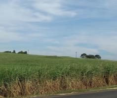 Farm for sale in Ballito Rural