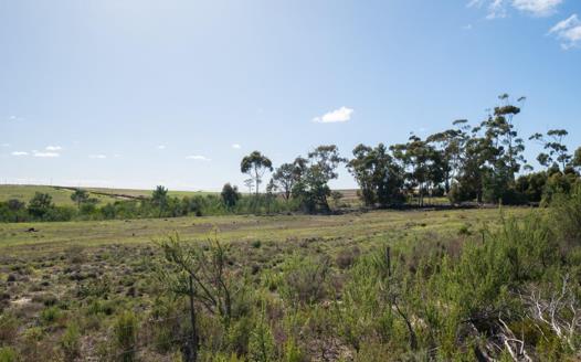 Vacant Land / Plot for sale in Napier