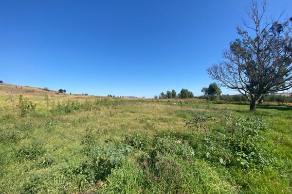 Farm for Sale just oustide Vryheid on the Hlobane Road 
100 hectares 
Located at Black ...