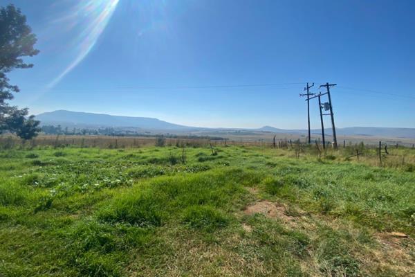 Farm for Sale just oustide Vryheid on the Hlobane Road 
100 hectares 
Located at Black horse 
Electricity and borehole can be ...