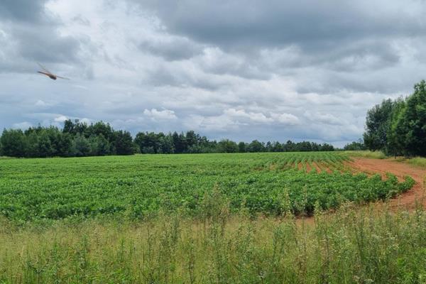 Prime Commercial zoned land right next to the highway.Between 10 and 12 min from Alberton and Meyerton.Offramp very close.Level land ...