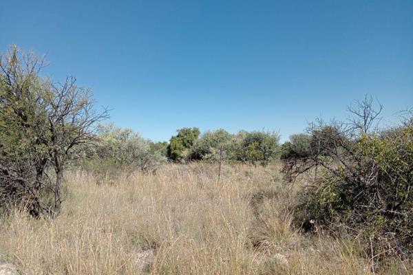 An excellent live stock farm in the Barkly West rural area between Klipfontein and Alco with 12 fenced camps, each camp with it&#39;s ...