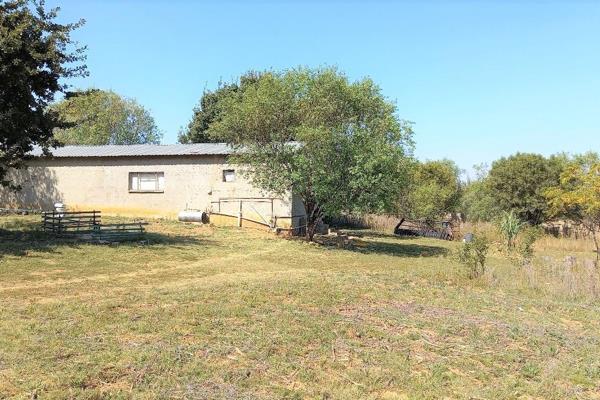 This stunning, clean plot is up for grabs at an exceptional value for money with a +- ...