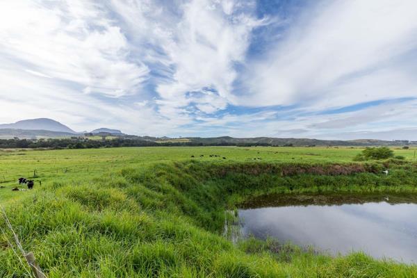 Dairy Farm in Riversdal, 75 hectares in size of which 55 hectares are under permanent sprinkler irrigation and consists of three ...