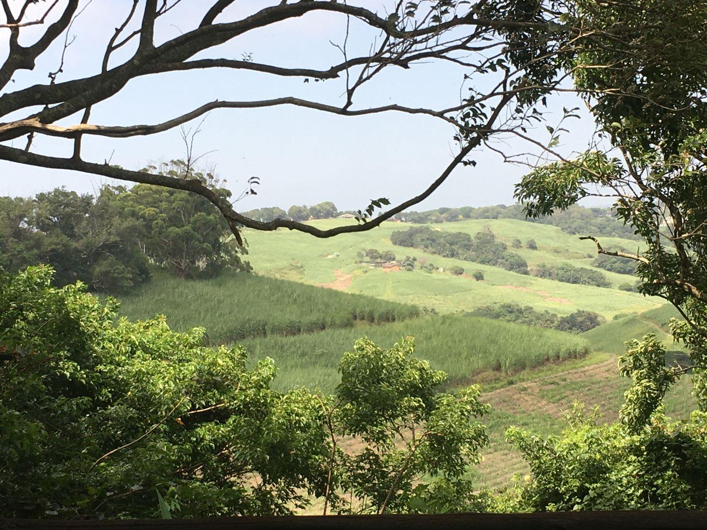 Kzn South Coast Property Farm to rent in Kzn South Coast