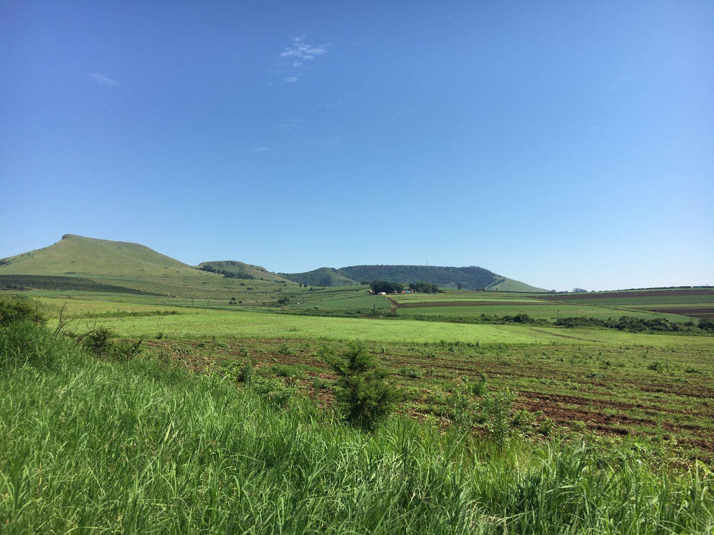 Property and houses for sale in Camperdown Camperdown Property