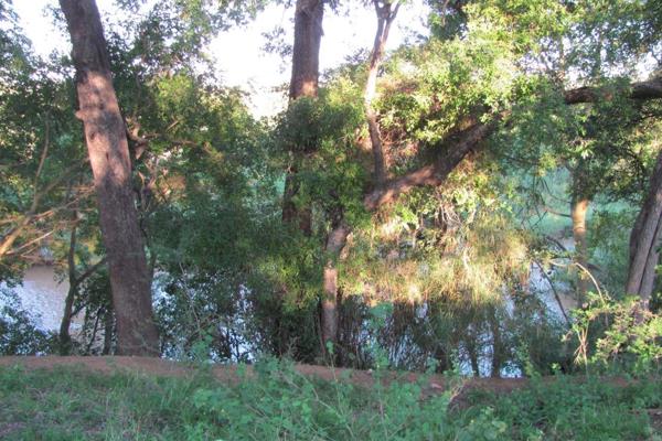 Welcome to a nature lover&#39;s paradise! This stunning stand is set on the Olifants ...