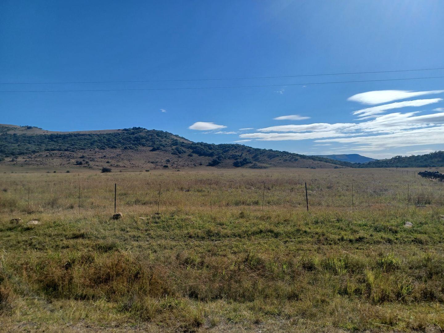 Farm for sale in Newcastle Rural P24112645868