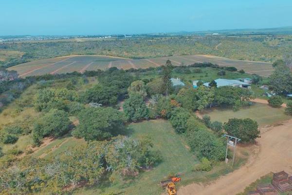 Attention Pineapple and Livestock Farmers! The perfect opportunity awaits.
Presenting two adjacent farms located between Port Alfred ...