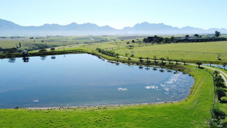 Farm for sale in George Rural - P24-112668644