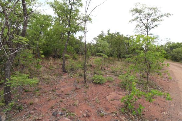 This 1,1ha vacant stand is situated in a Wildlife Estate about 12km from Bela Bela.

Call right away to arrange a viewing appointment.