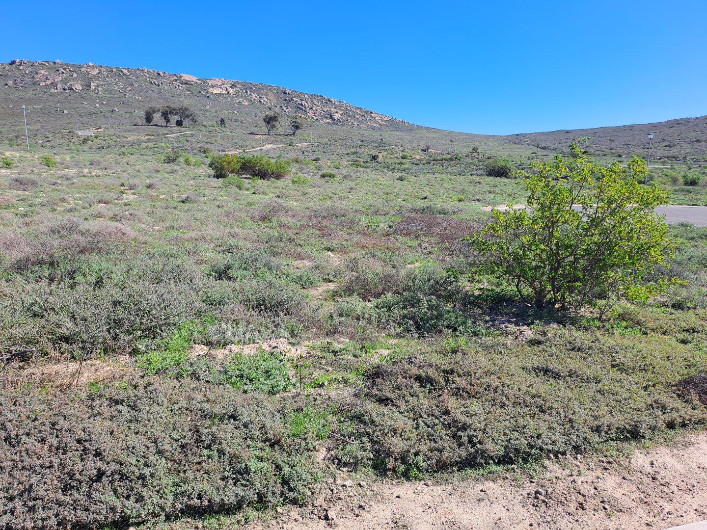 Vacant land / plot for sale in St Helena Views - 3 Hurrican Drive - P24 ...