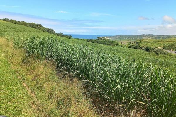 Are you looking for that perfect farm location farm and cannot find the right size, then look no further.
This 6-hectare farm is ...